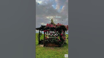 #القرآن_الكريم #اكسبلور #تلاوة #القرآن #راحة_نفسية #explore #beautiful #quran #foryou #flowers #لايك