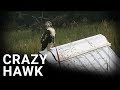 Red-tailed hawk attacks chickens in a chicken tractor!