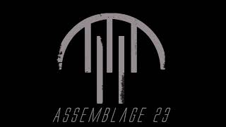 Assemblage 23 - Raw (Interface Remix 2011)