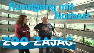 Rundgang mit Norbert bei Zoo Zajac