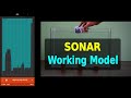 Sonar  working model