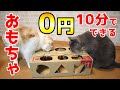 【猫のダンボール手作りおもちゃ】0円10分で簡単DIY！