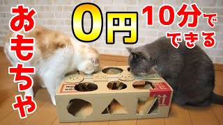 【猫のダンボール手作りおもちゃ】0円10分で簡単DIY！