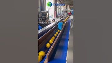 Lemon Sorting, Grading, Packing and Processing line,Citrus Sorter Machine for Oranges Mandarins Lime
