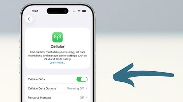 How to Turn On Cellular Data on iPhone (2025)