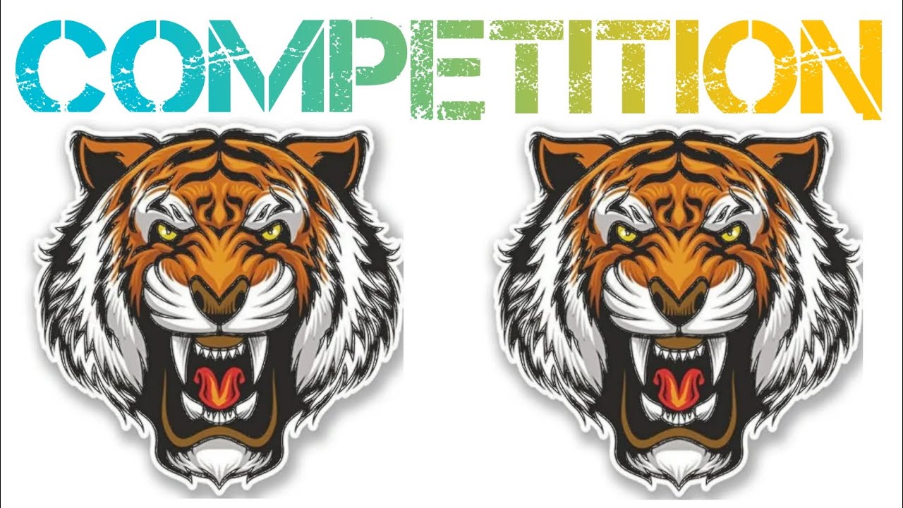 VSR BRAND FULL COMPILATION BIRD HORN 🔥‼️VSR DEMO VS PA DEMO ‼️ HITESH PARMAR 