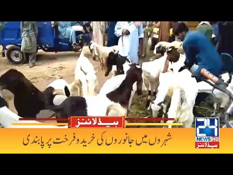 Ban Imposed On Animal Sale Purchase