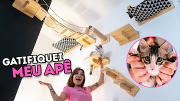 É possível ter gato em casa?