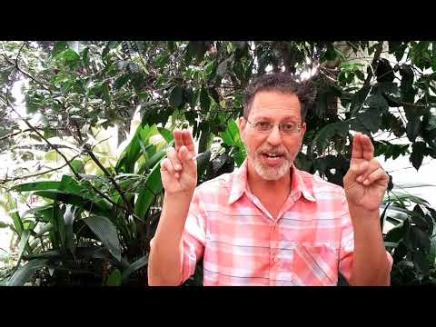 Como ter sucesso total através da espiritualidade
