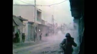 العراق / إيران : دخول الحرب في العام الثاني 1981