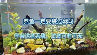 鱼缸一定要安装过滤吗学会这种生态鱼缸过滤都可以不用安装了