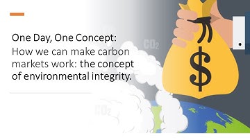 One Day, One Concept:Environmental Integrity (in Carbon Markets)