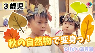 【秋】保育に取り入れたい季節の遊びアイデア。戸外でも室内でも自然と触れ合おう