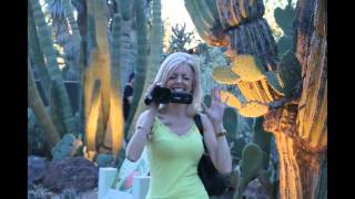 Desert Botanical Gardens Bruce Munro - Sonoran Light Exhibit