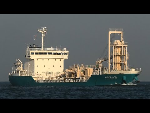 セメント運搬船 第二辰巳丸 辰巳商會 - MV TATSUMI MARU NO.2 2022NOV - Shipspotting Japan  @JG2AS