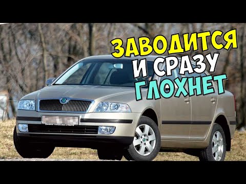 ЗАВОДИТСЯ И СРАЗУ ГЛОХНЕТ ШКОДА (SKODA). ЧТО ДЕЛАТЬ? МОЙ ОПЫТ