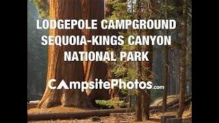 Sequoia & Kings Canyon National Park - Lodgepole Campground