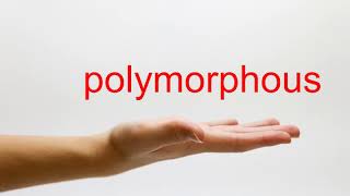 How to Pronounce polymorphous - American English