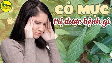 Cây cỏ mực trị bệnh gì? Top 10 công dụng trị bệnh của cây cỏ mực