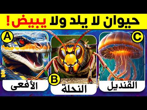 30 سؤال وجواب ومعلومات ثقافية مفيدة عن الحيوانات لن تتمكن من حلها ألغاز للأذكياء فقط