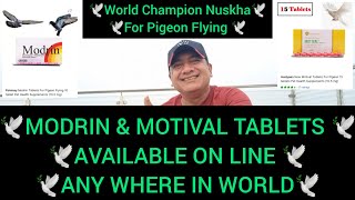 Modrin & Motival tablets available online every where in world | World Champion Nuskha | 4 pigeons
