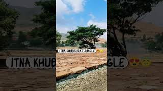 Itna Khubsurat Jungle 😍😇 #trendingnow #funny #comedyvlog #youtubetrending #exploretheworld