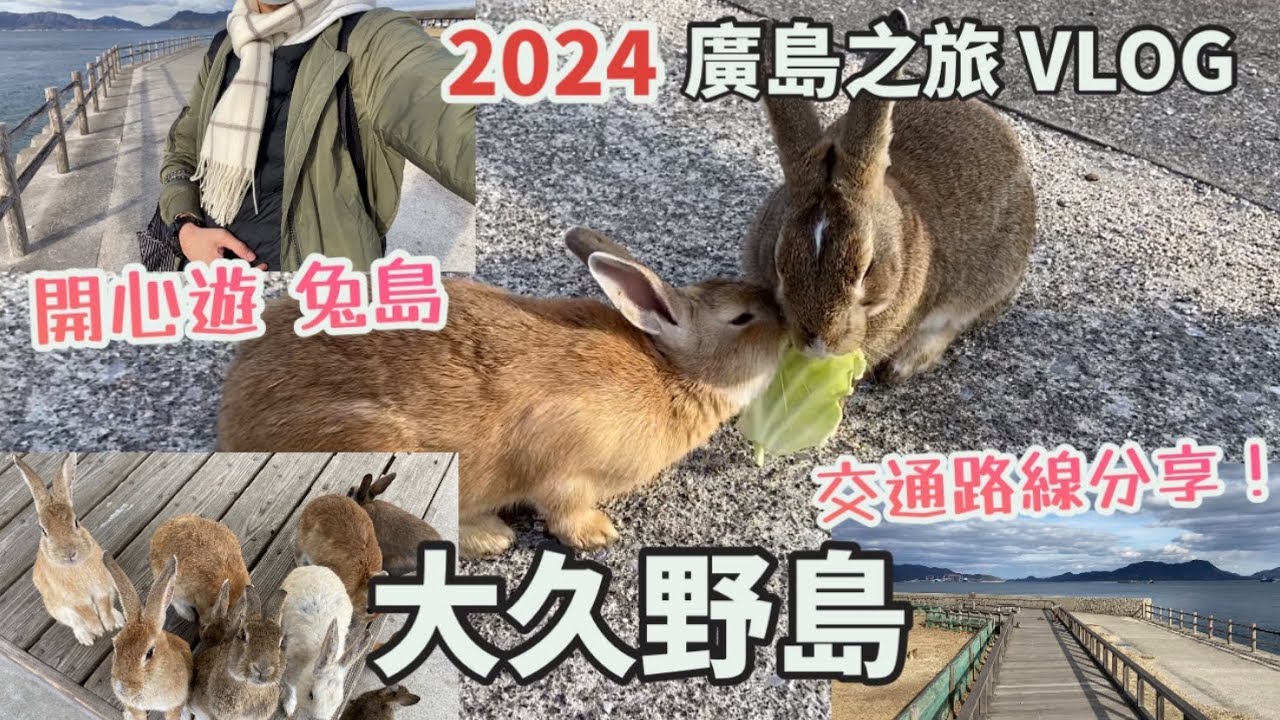 廣島遊 2024 EP.3 | 大久野島一日遊 | 𣈱遊兔仔島，兔子太可愛好活躍！| 交通路線分享 |三原駅、忠海駅 | 忠海港 買船票|廣島自由行|日本旅遊VLOG |広島|うさぎ|瀬戶內海|冬季
