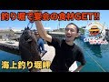 【海上釣り堀岬】宴会の食材を釣り堀でGET!!【初心者】