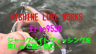 NISHINE LURE WORKSのエリー95SD ジャークベイトフィシングを楽しんで頂く為に…