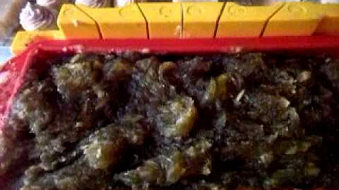 100% Extra Virgin Olive Oil / Castille Soap