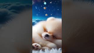 Fall Asleep in 5 Minutes - Lullaby for Babies to Go to Sleep