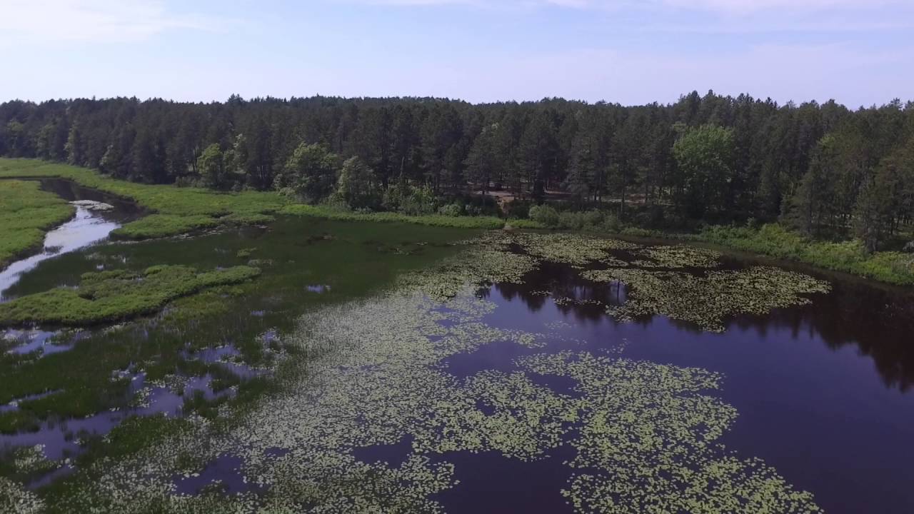 The Widewaters YouTube