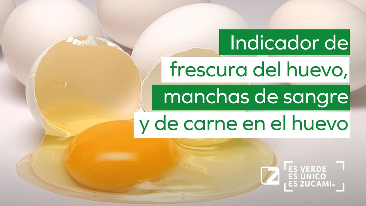 🥚 Calidad del huevo. 🥚 Indicador de frescura del huevo, manchas de sangre y de carne en el huevo