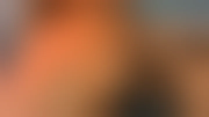 Dry Arthroscopy With a Retraction System for Matrix-Aided Cartilage Repair of Patellar Lesions