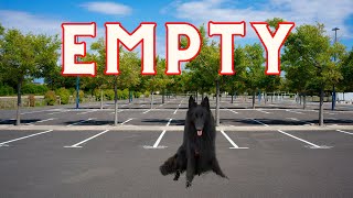 What to do with a Belgian Shepherd when the Dog Park is empty