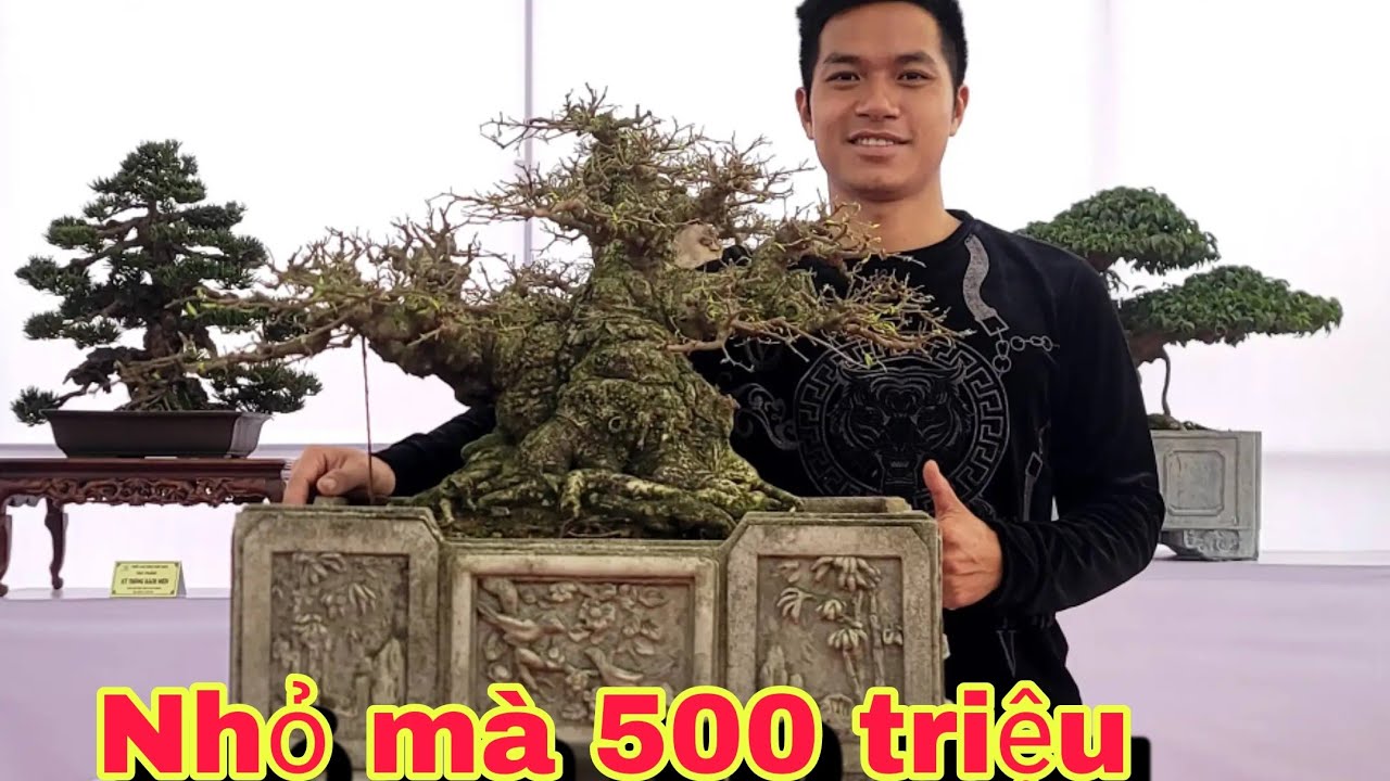 Nhỏ mà 400.500 triệu..nghệ thuật là không giới hạn.sân chơi đẳng cấp 2025 tại Triệu Điền.
