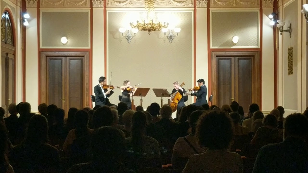 Dvorak String Quartet "American" 1st Movement YouTube