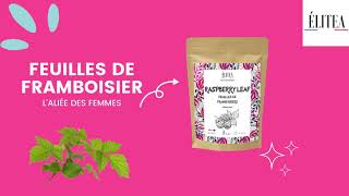 ÉLITEA INFUSION FEUILLES DE FRAMBOISIER COLLECTION INFUSION BIO