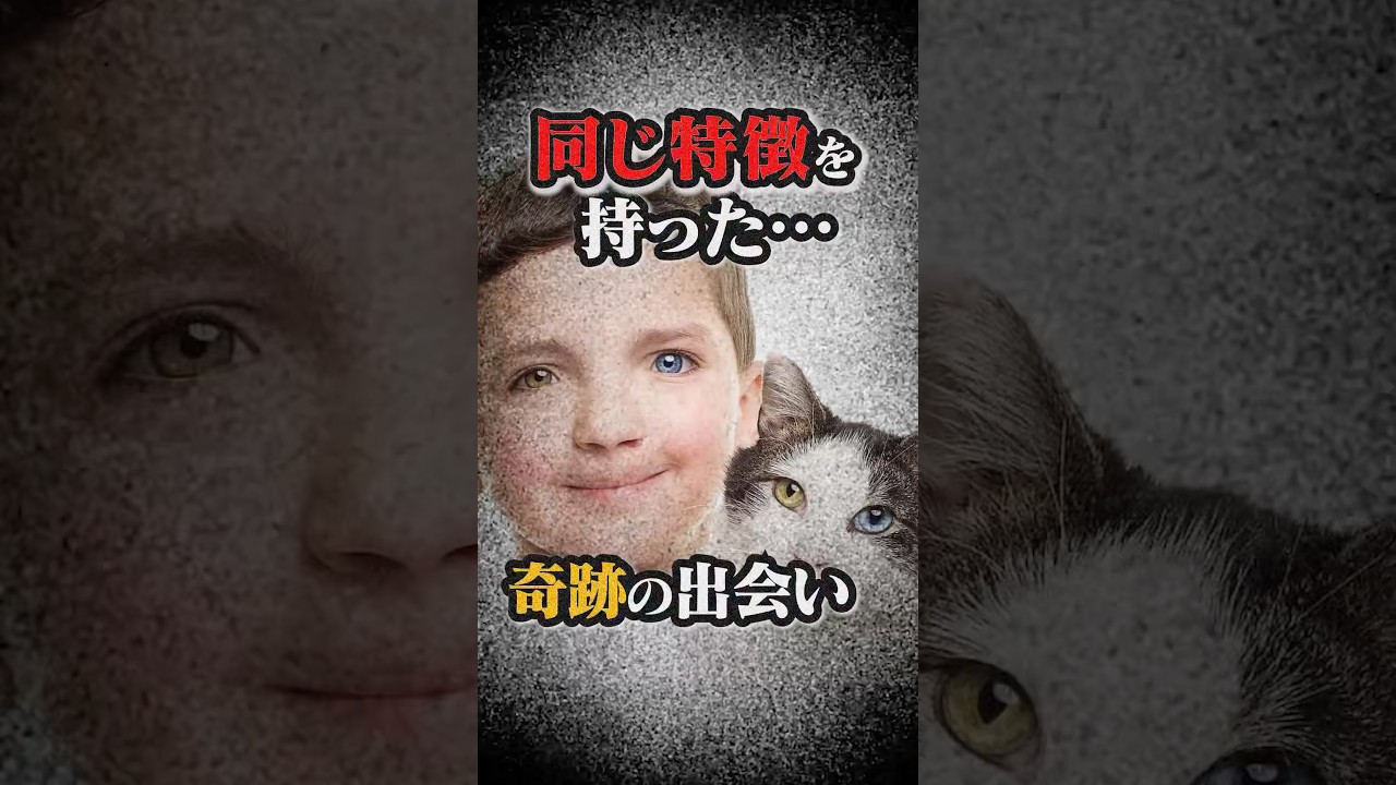 同じ目をもつ奇跡の2人