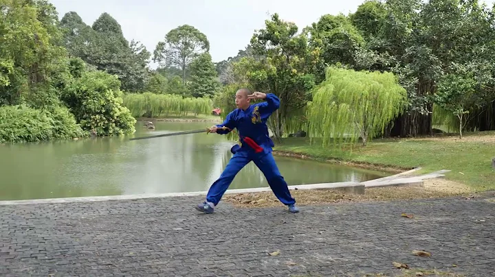 xingyi sword  Sun zhijun, Li chunling, Tang wanli