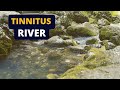 Sound Therapy For Tinnitus Water In A River 