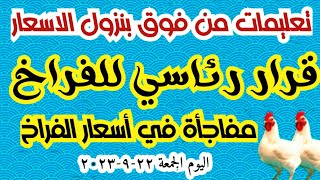 سعر الفراخ البيضاء اليوم الجمعه ٢٢ ٩ ٢٠٢٣ البورصة المصرية للدواجن دواجن للفراخ فى مصر