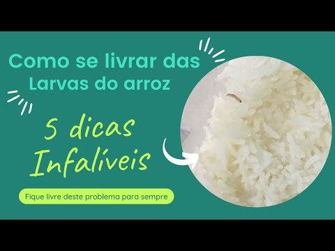 Vídeo: O que é a sujeira do caroço de arroz – dicas para prevenir a sujeira do caroço de arroz