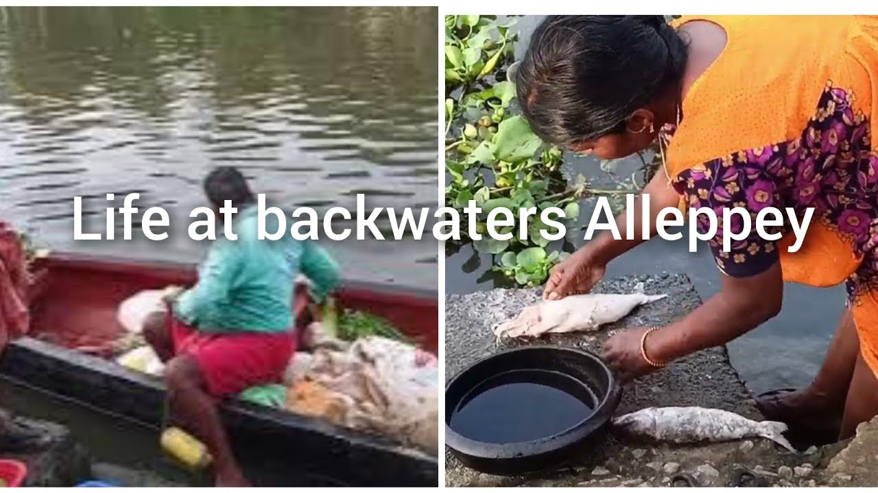 life-at-backwaters-alleppey-our-arrival-early-morning-activities-youtube