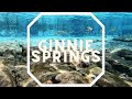GINNIE SPRINGS | Best Spring In Florida