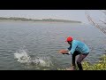 Amazing fishing  big size rohu fishing fisher man catching single hook and krishna river