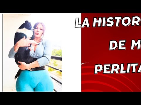 la historia de mi perlita