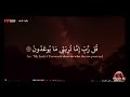 ألا بذكر الله تطمئن القلوب رعد الكردي