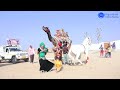 मारवाड़ी शादी में ऊंट घोड़ी ने किया जमकर डांस | New Rajasthani Dj Song  | New Marwadi Horse Dance