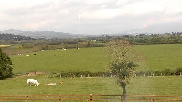 Daytime Pi Camera board Test 2